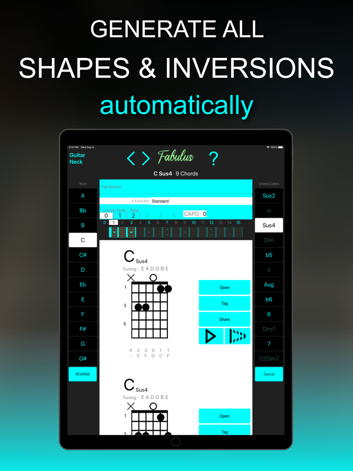 FABULUS Reverse chord finder