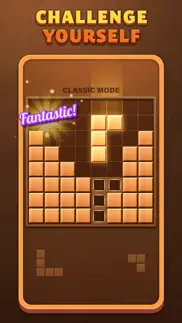 fill wooden block puzzle 8x8 iphone screenshot 2