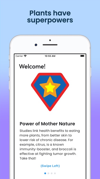 Eat the Rainbow Food Journal