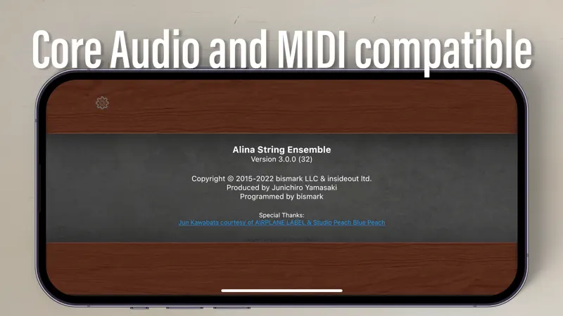 Alina String Ensemble screenshot 4 of 4