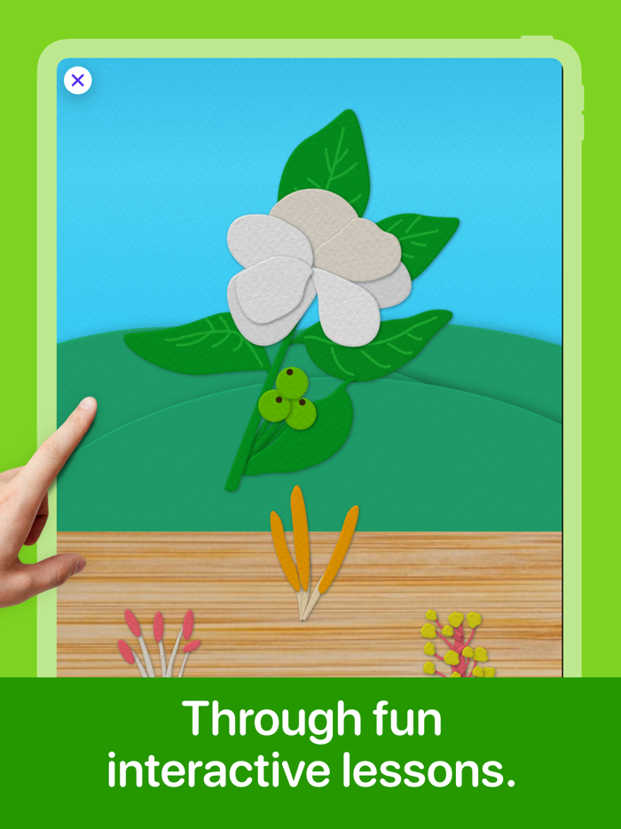 Plant Life - Science for Kids