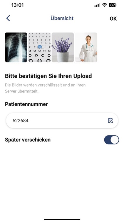 SnapDoc screenshot-3