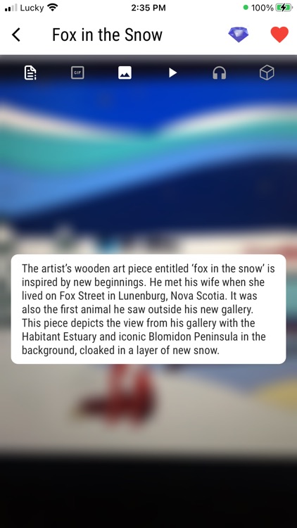 MetaVisitAR screenshot-6