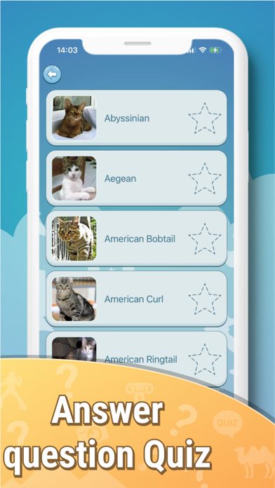 Quiz guess all cute cat breeds Screenshot