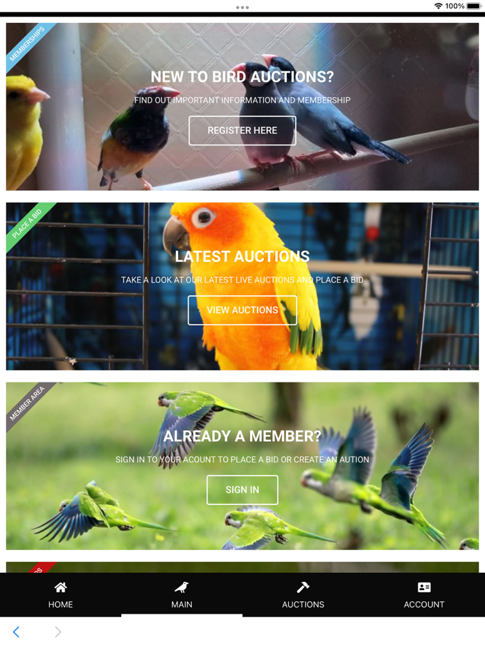 Bird Auctions