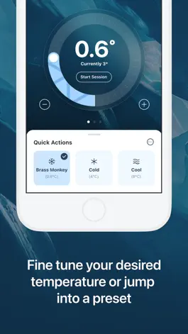 Game screenshot Brass Monkey hack