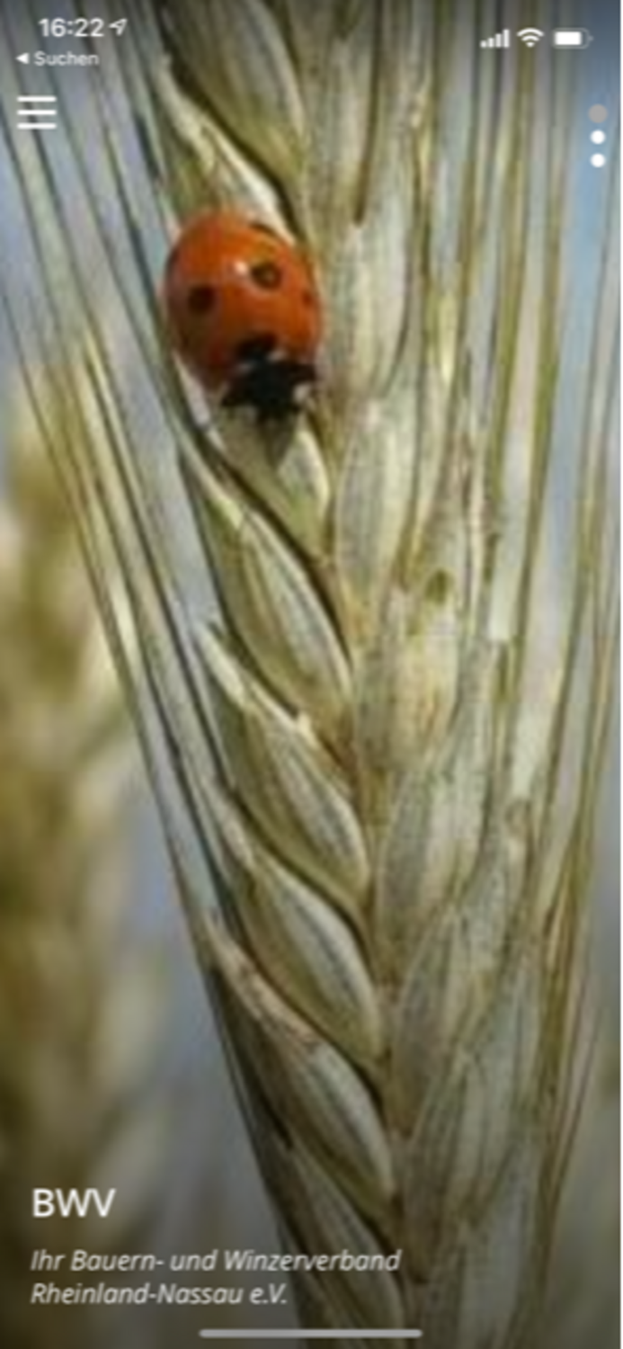 Bauern Winzer Rheinland-Nassau