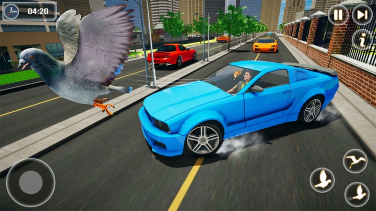 Pigeon Bird Flying Simulator