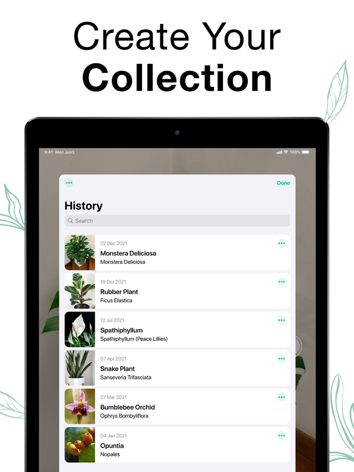 Plants Air - Plant Identifier