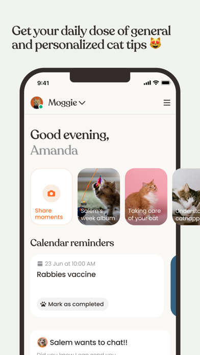 Moggie Cat Activity Tracker Screenshot