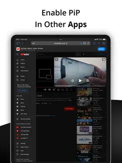 PiP - Picture in Picture iPad image 1