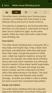 birds of botswana problems & solutions and troubleshooting guide - 2