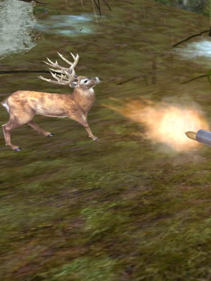 Deer Hunting Games