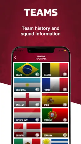 Game screenshot Fanzine Football - Live Scores hack