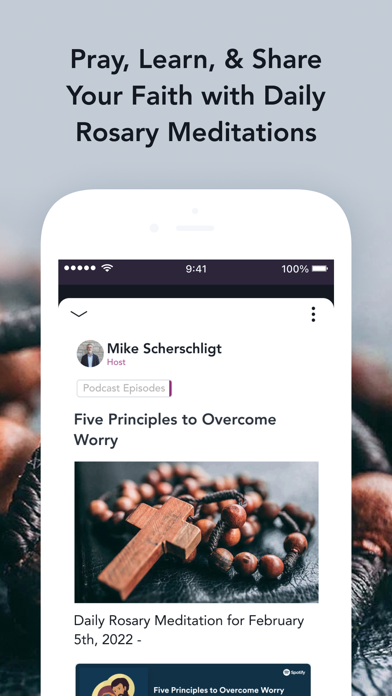 Daily Rosary Meditations Screenshot