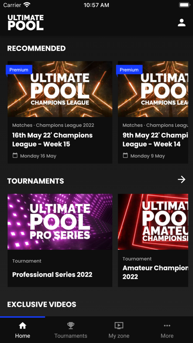 Ultimate Pool Screenshot