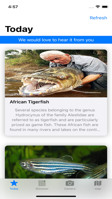 Fish edu Screenshot
