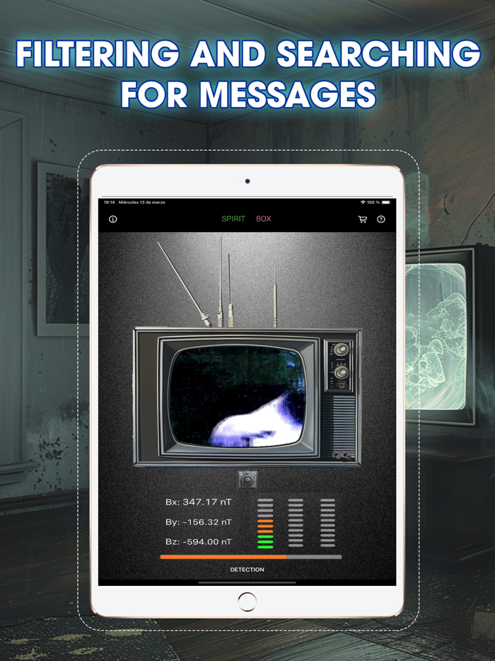 Ghost and Spirit Box Detector