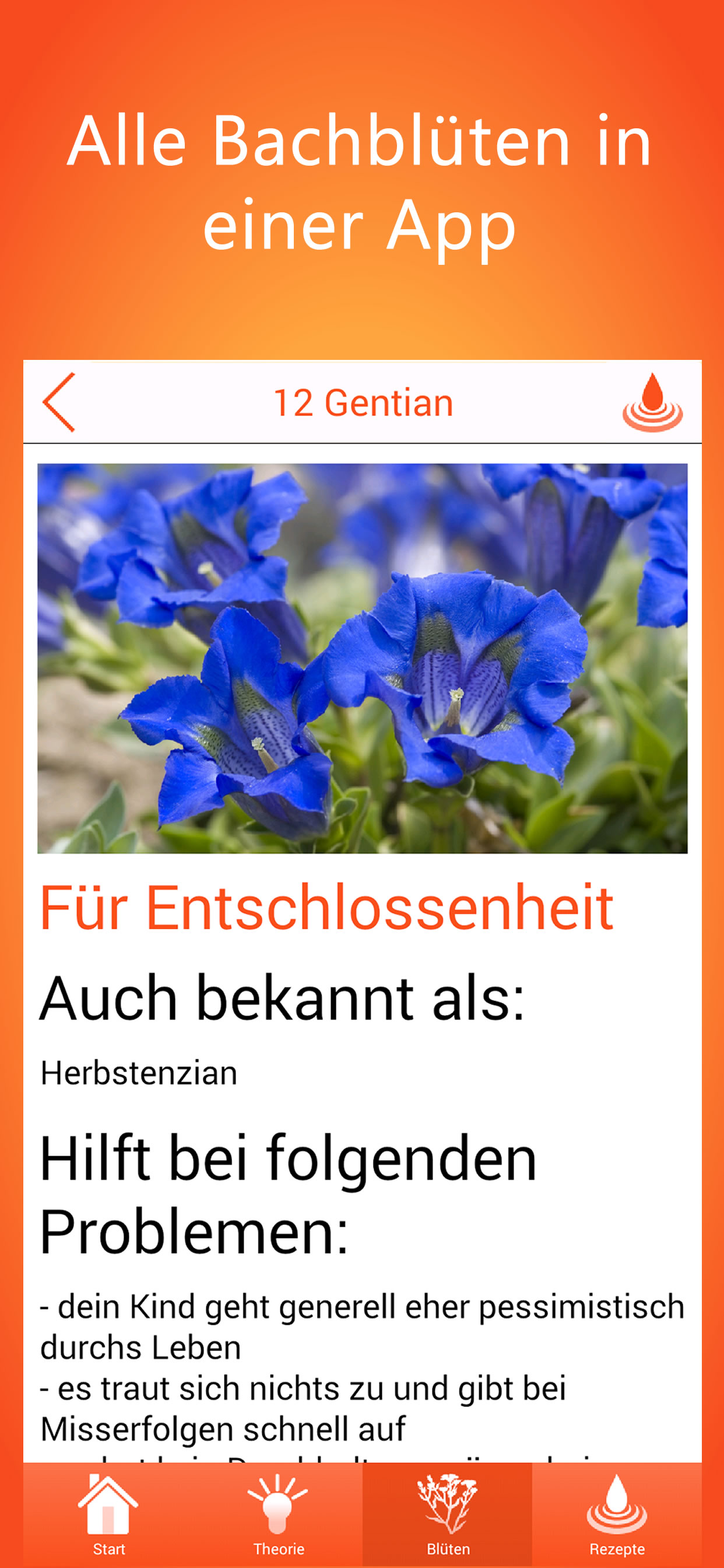 Bachblüten für Kinder PRO
