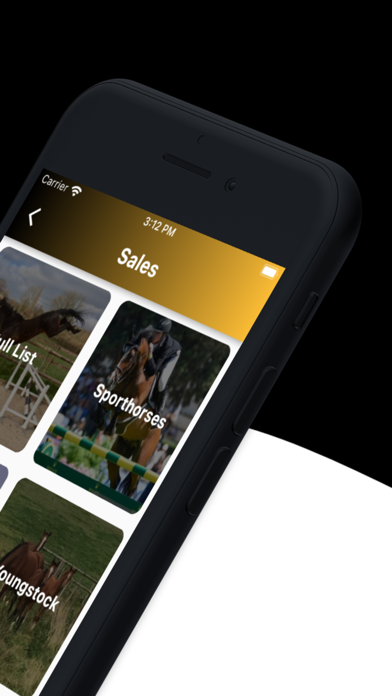 Bosanko Sports Horses Screenshot