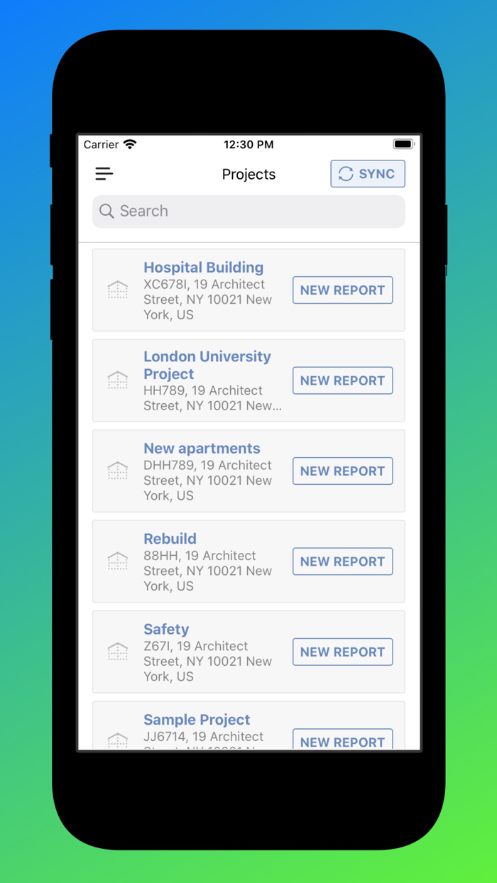 Deltek SafetySnapper