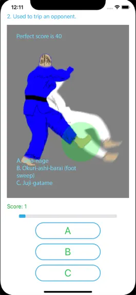 Game screenshot BJJ Quiz apk