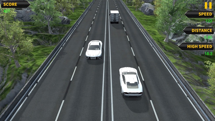 Extreme Highway Driving screenshot-5