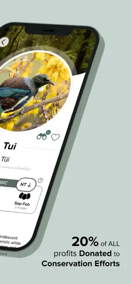 Game screenshot Twitcher: NZ Bird Watching App apk
