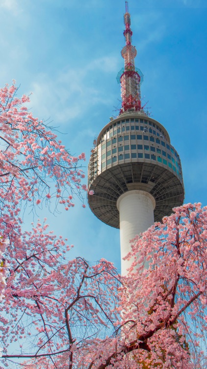 Seoul Backgrounds screenshot-7