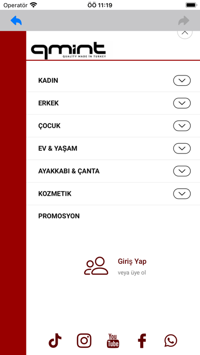 Qmint Screenshot