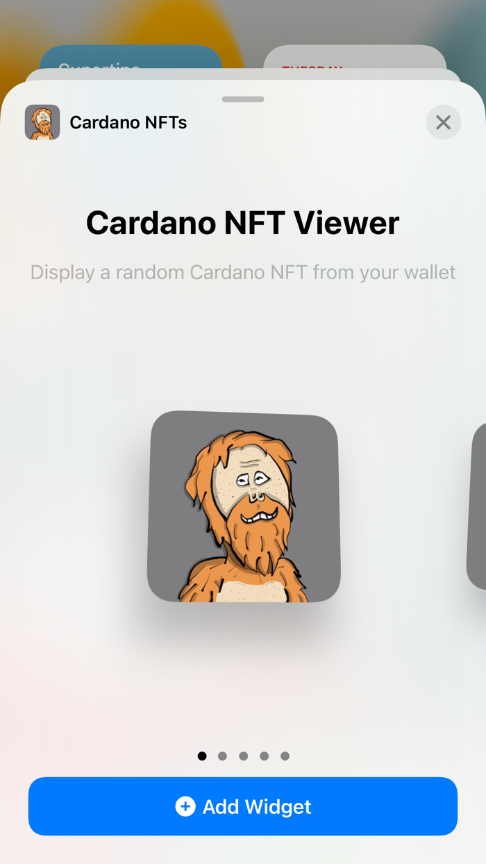 Cardano NFTs