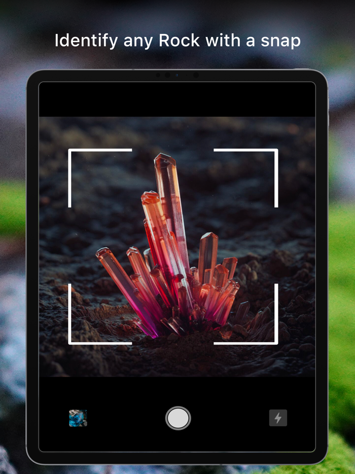 Rock Identifier Crystal Finder