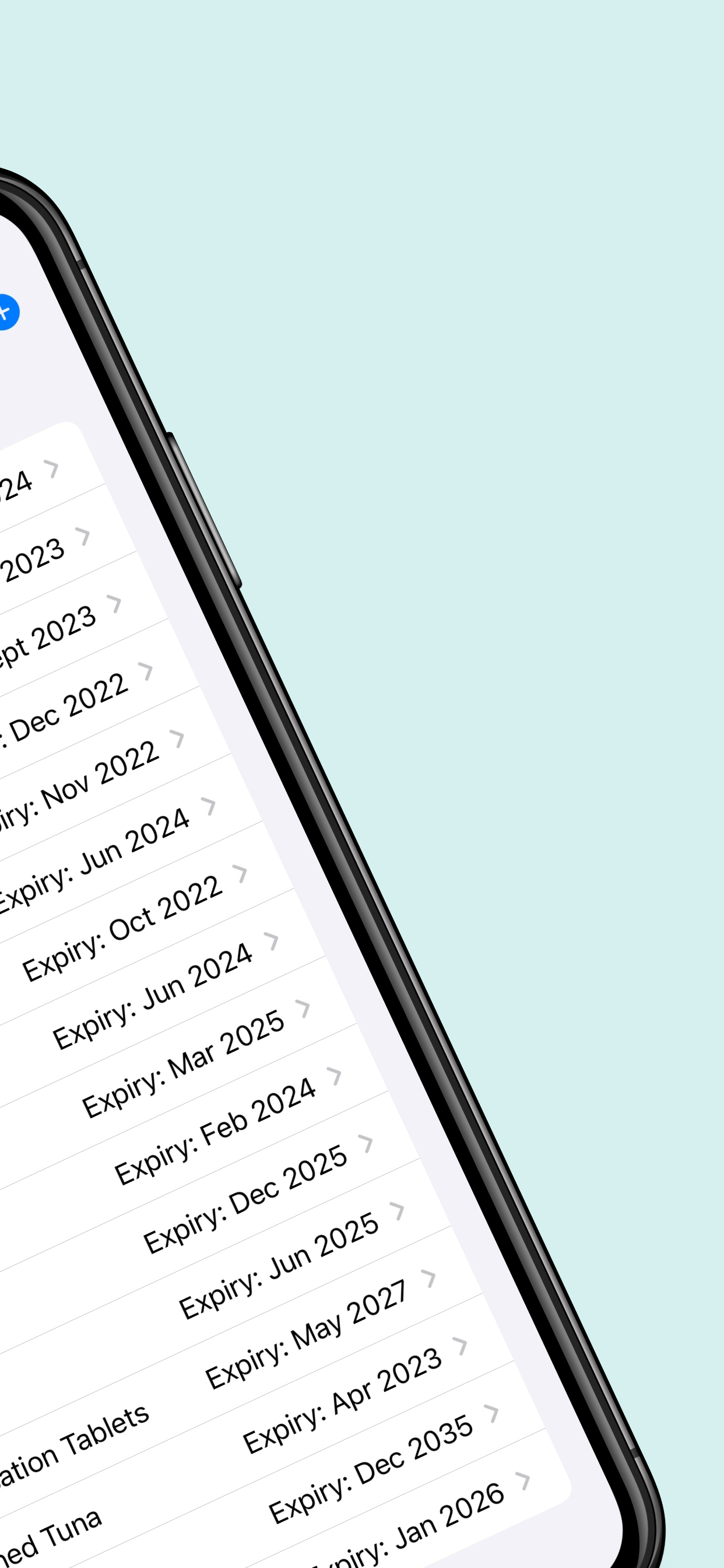 Site Report Pro+ Audit PDF Pro