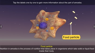 Screenshot #3 pour Nutrition in Amoeba