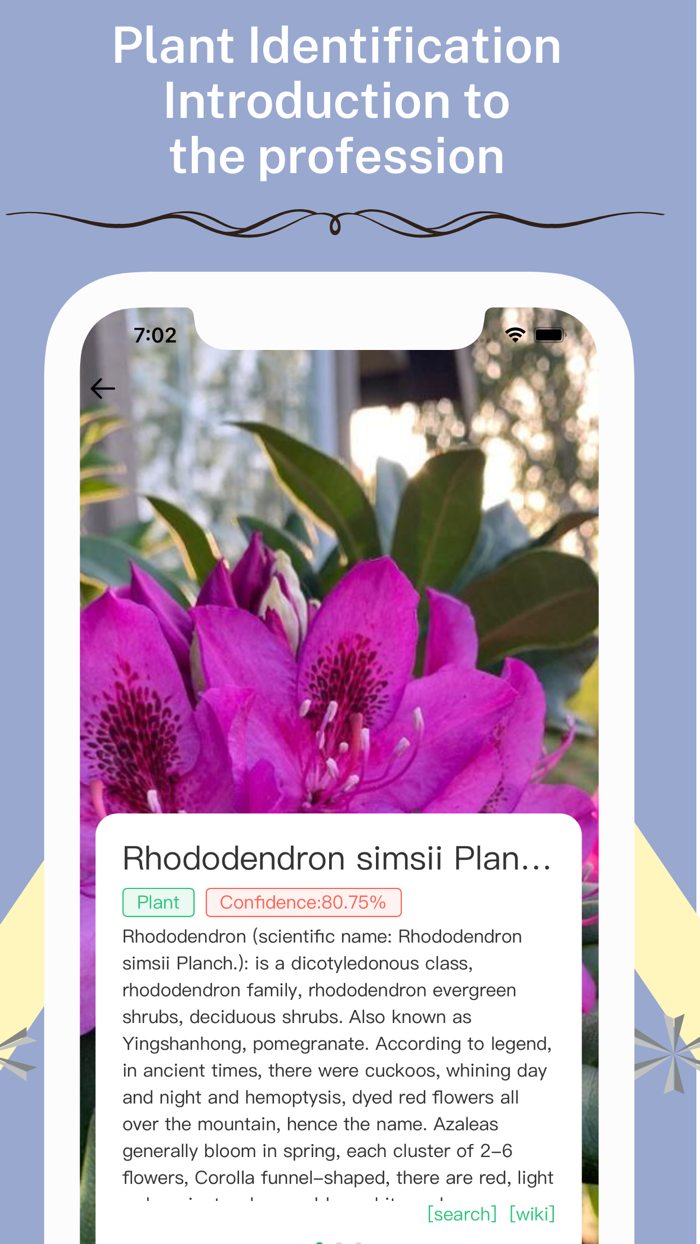 E-Identifier Identification