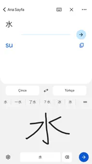 Google Çeviri iphone resimleri 4