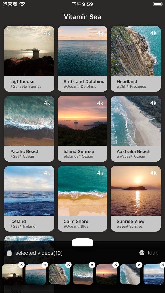 Vitamin Sea - Meditating