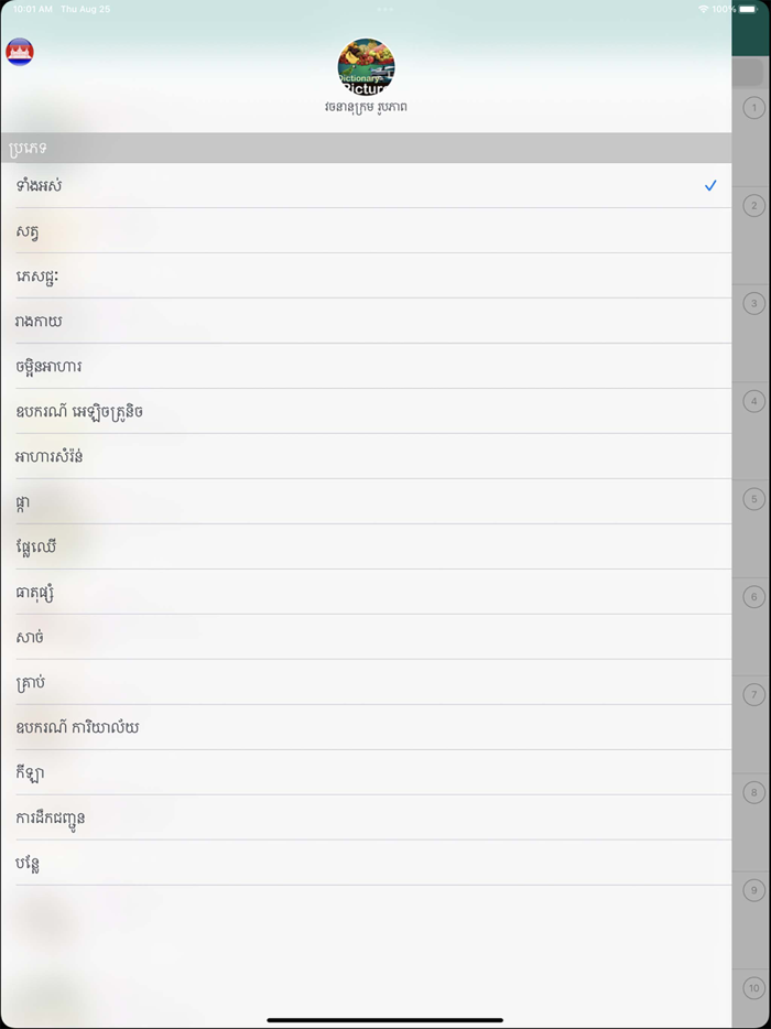Picture Dictionary - Pro