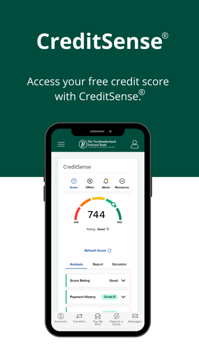 Norry Bank Mobile Screenshot