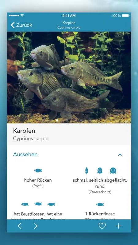 Fische PRO - Lexikon screenshot 4 of 6