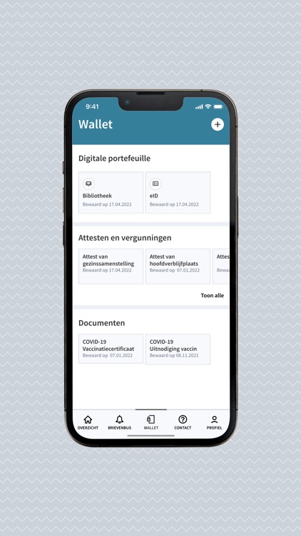 De Panne screenshot-3