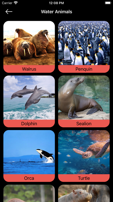 World Animal Sounds Screenshot