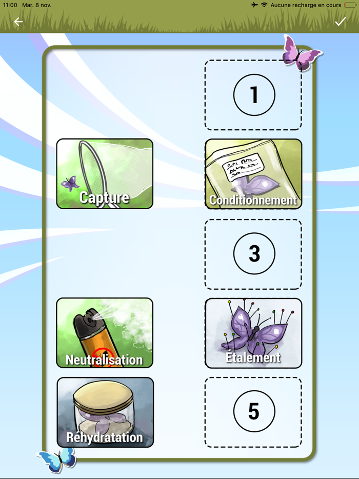 Méline au musée des papillons