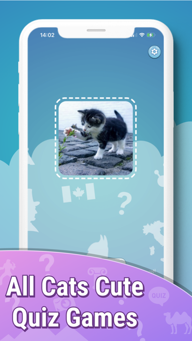 Quiz guess all cute cat breeds Screenshot