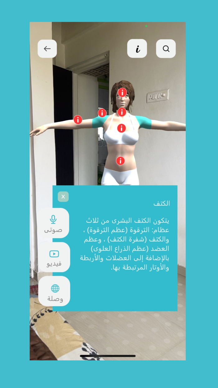 Human Anatomy AR