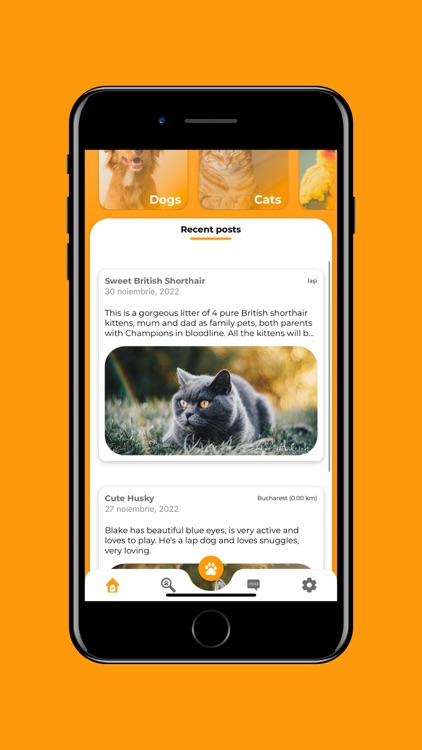 Help a Pet