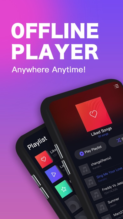Offline Player – Music Player Screenshot