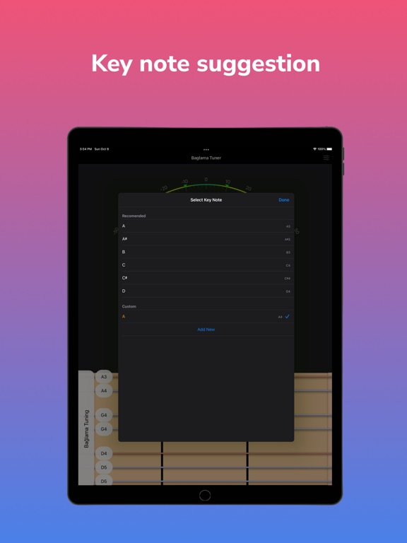 Screenshot #6 pour Bağlama Tuner