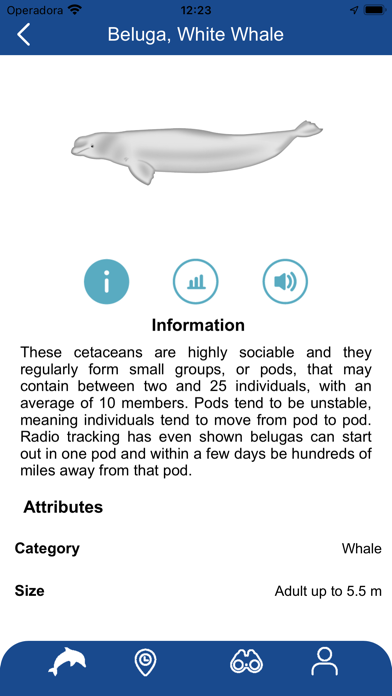 Whale Reporter Screenshot