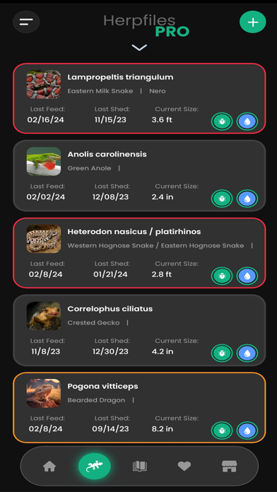 Herpfiles Screenshot